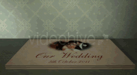 3D Wedding Album