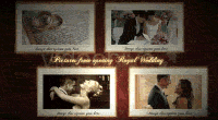 Royal Wedding